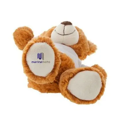 zdjęcie6