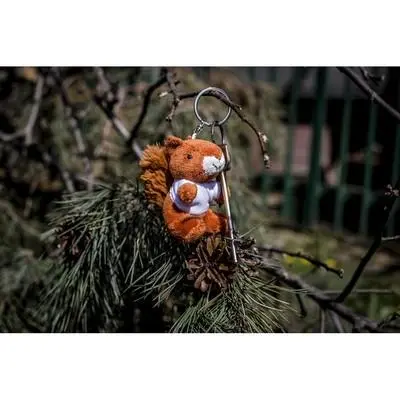 zdjęcie1