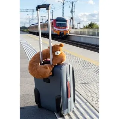 zdjęcie5