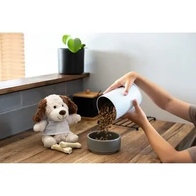 zdjęcie2