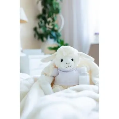 zdjęcie3