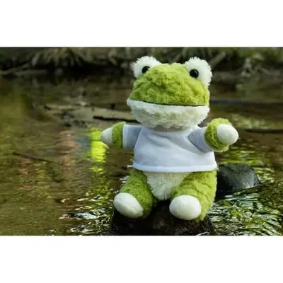 zdjęcie1