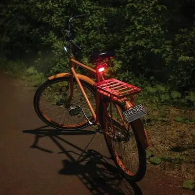 zdjęcie10