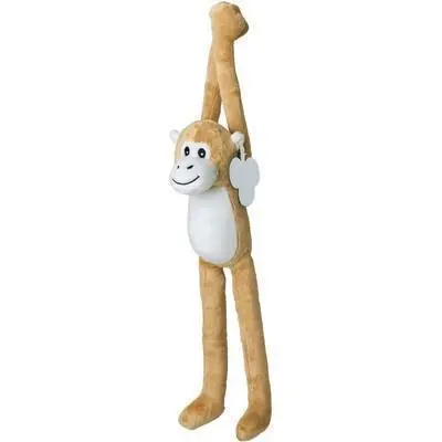 zdjęcie1