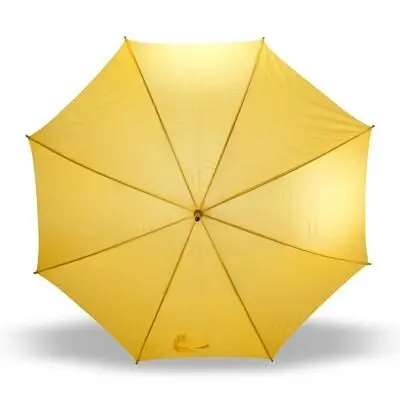 zdjęcie8