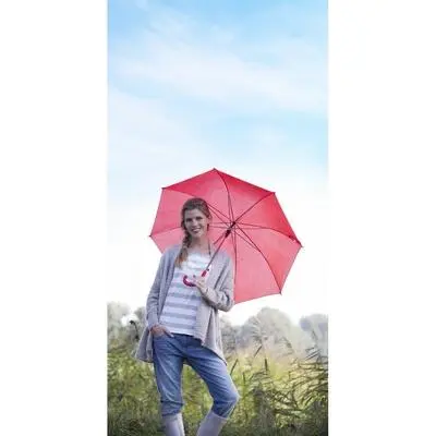 zdjęcie1