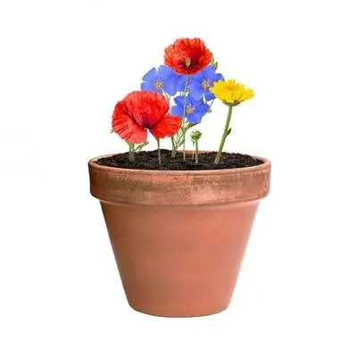 zdjęcie11