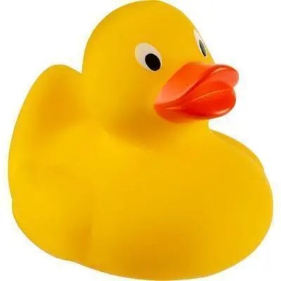 zdjęcie2