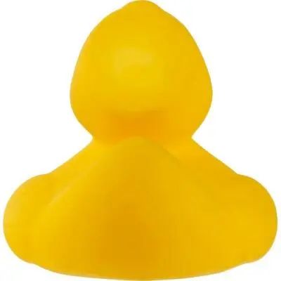 zdjęcie9