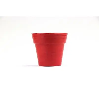 zdjęcie8