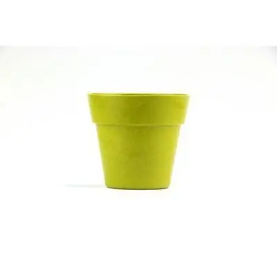zdjęcie9
