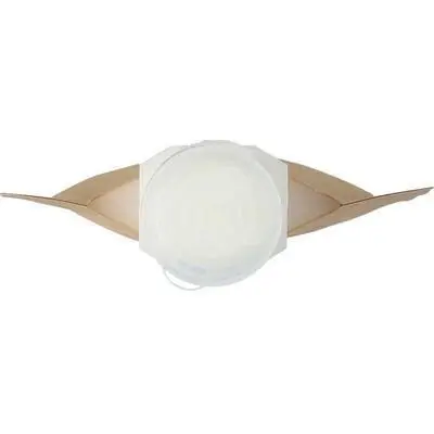 zdjęcie7