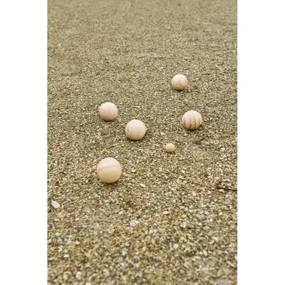 zdjęcie6