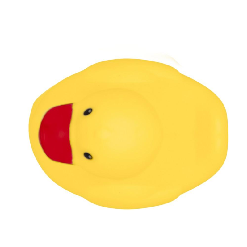 zdjęcie5